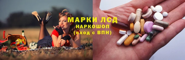 стафф Краснослободск