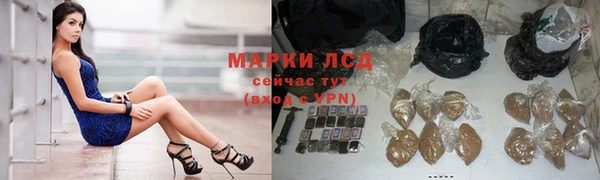 стафф Краснослободск