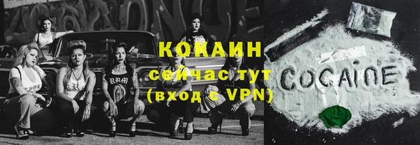 прущие грибы Кулебаки