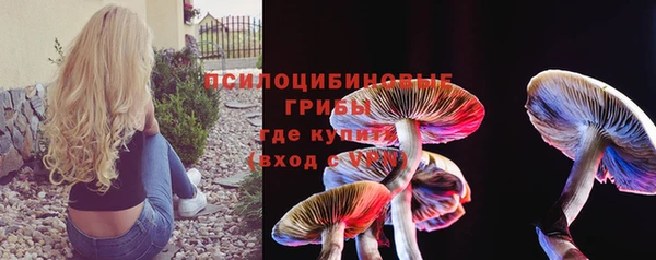 ГАЛЛЮЦИНОГЕННЫЕ ГРИБЫ Краснотурьинск