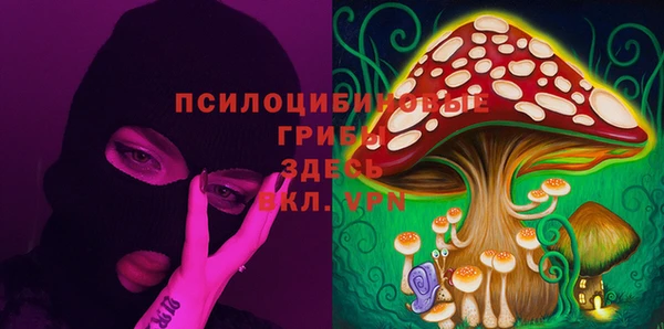 ГАЛЛЮЦИНОГЕННЫЕ ГРИБЫ Краснотурьинск