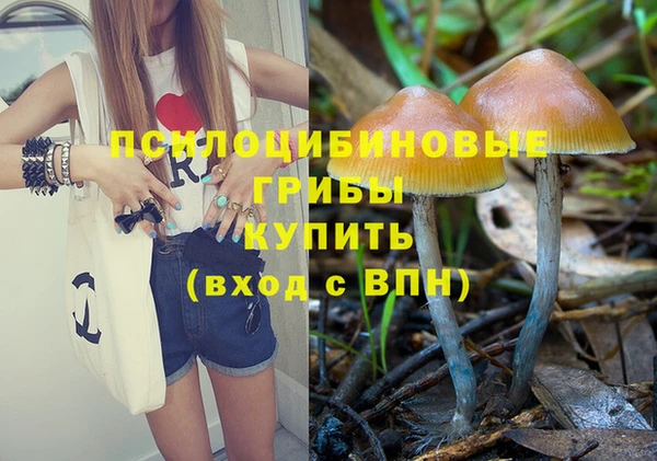 ГАЛЛЮЦИНОГЕННЫЕ ГРИБЫ Краснотурьинск
