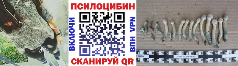Купить где  Асбест  Галлюциногенные грибы Magic Shrooms 